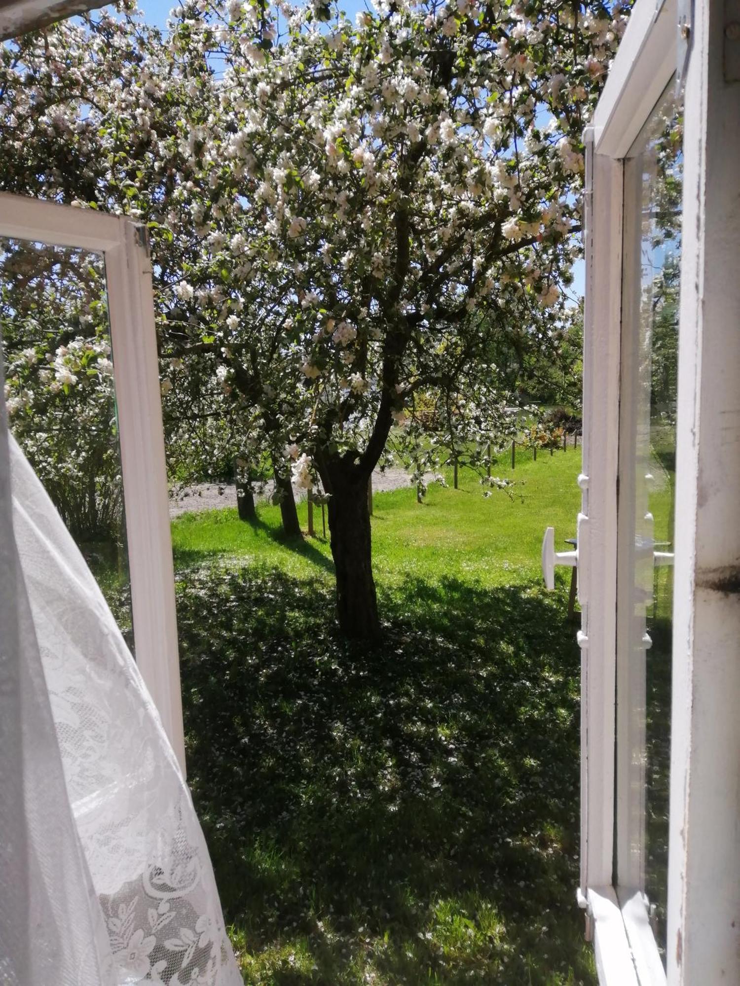 Searooms Lapmežciems Zimmer foto
